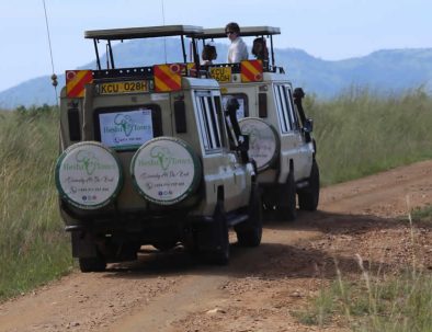Maasai Safari 4 Nights Driving & Flying Packag