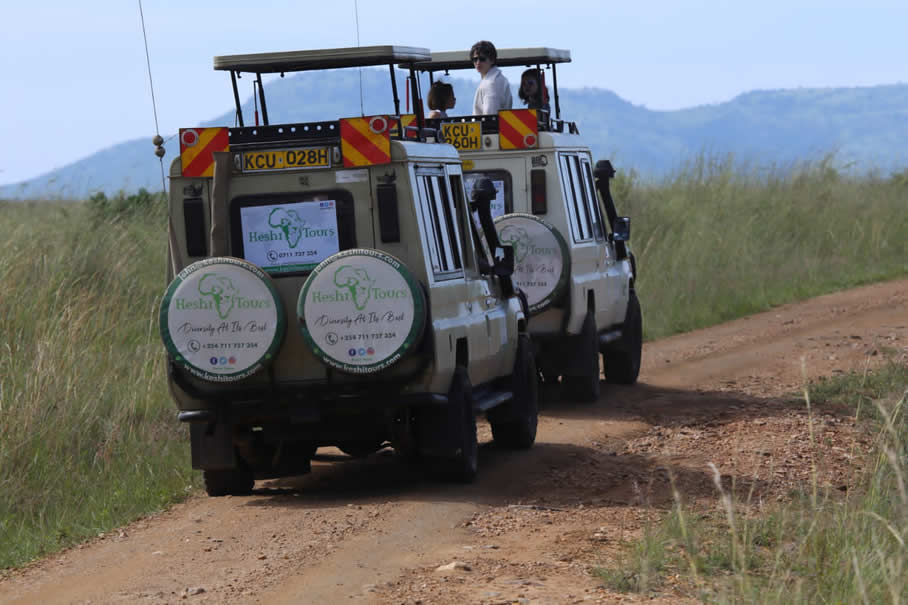 Maasai Safari 4 Nights Driving & Flying Packag