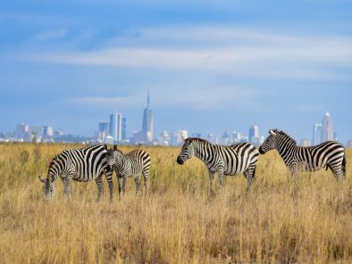 What is the Cost of a Game Drive in Nairobi National Park