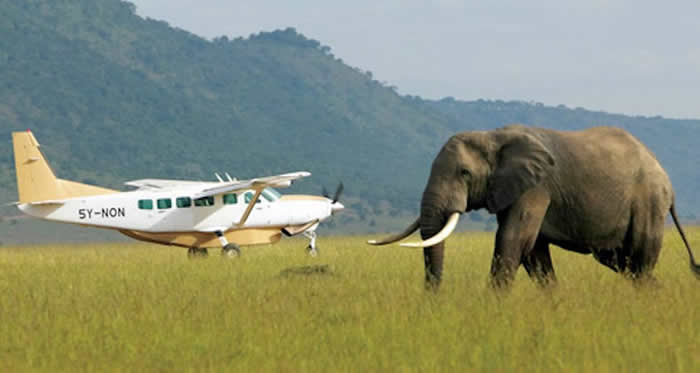 What is the Cost of a Flight to Masai Mara