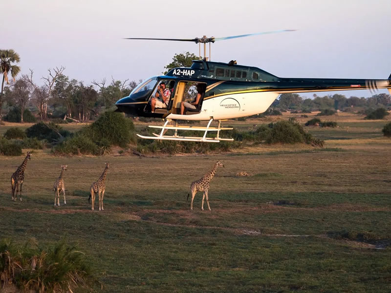 kenya helicopter safari