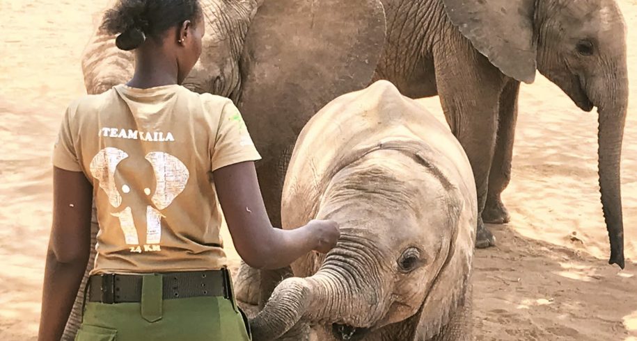 Cost of visiting Reteti Elephant Sanctuary