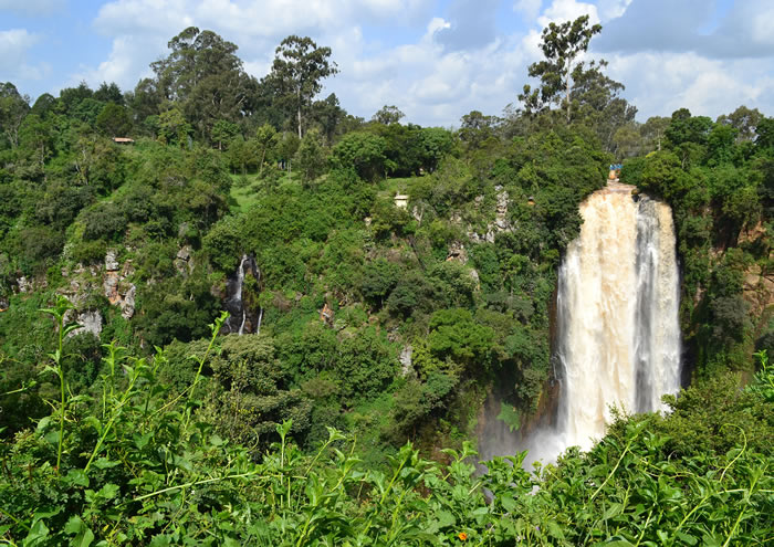 Aberdare National Park