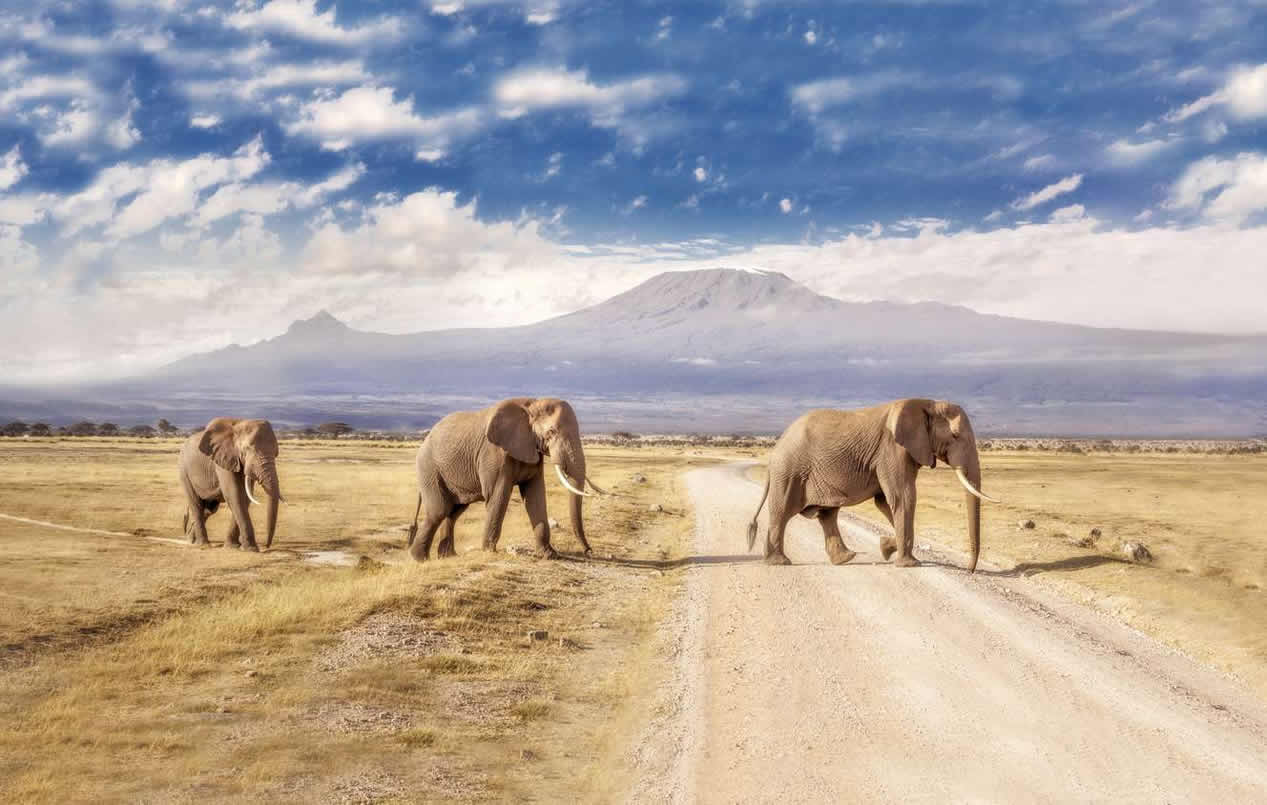 Amboseli Accommodation
