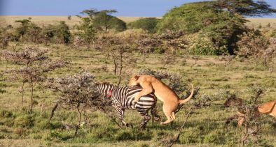 Polish Travelers Kenya Guide