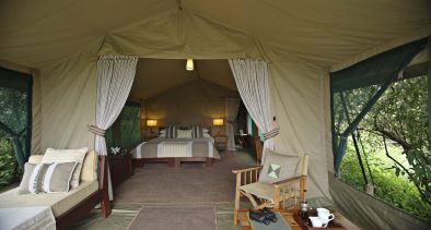 Budget Safari in Kenya