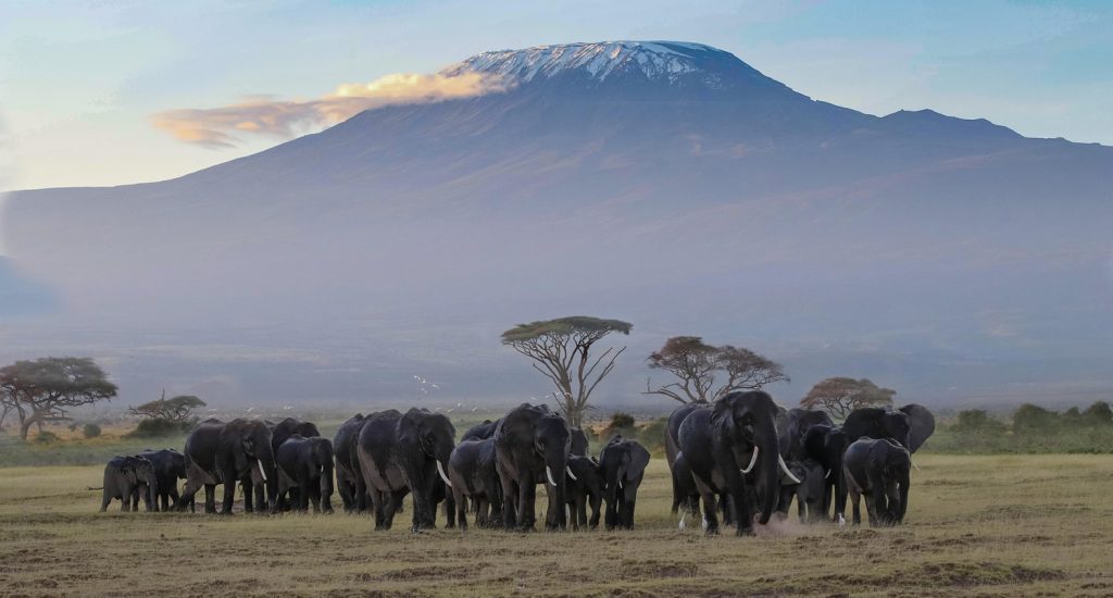 Kenyan Destinations for Irish Travellers