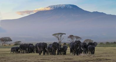 Kenyan Destinations for Irish Travellers