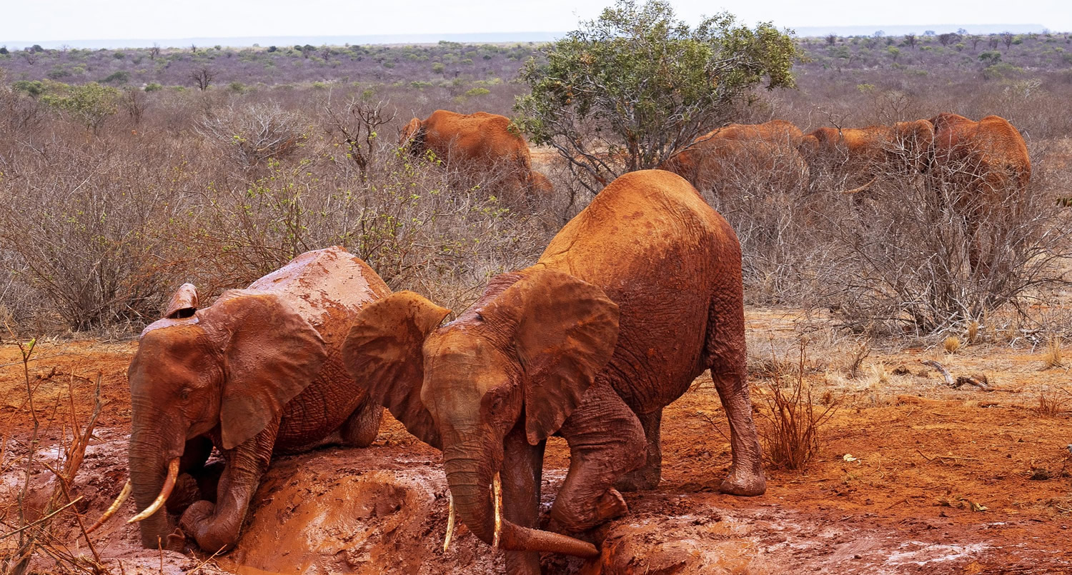 Slovak Tourists' Top Kenyan Destinations