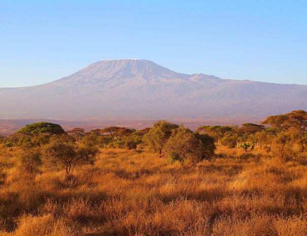 3-days-amboseli-gal2
