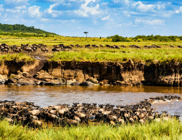 6days-mara-nakuru-amboseli-banner